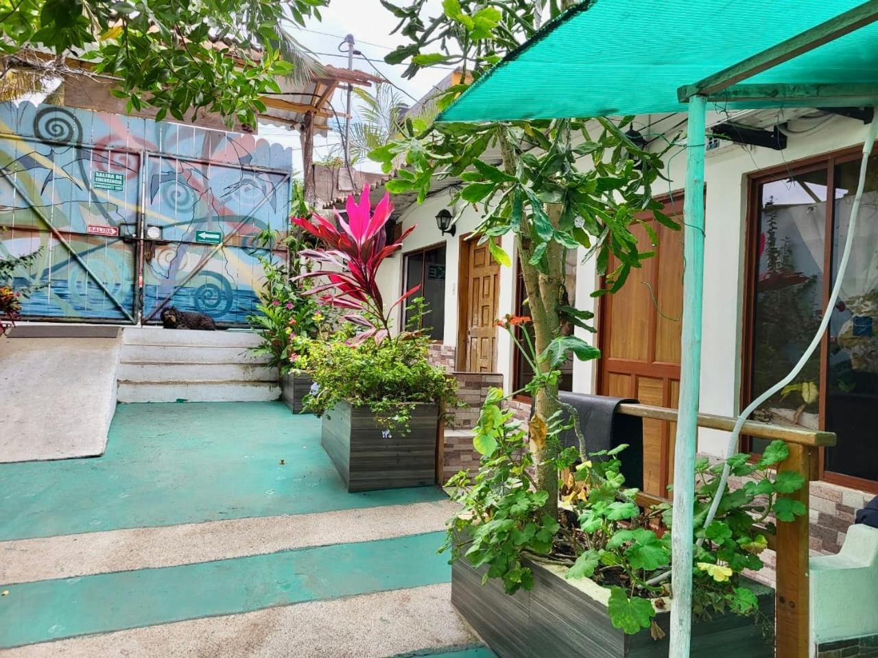 Nelyza'S Suites & Adventure Puerto Ayora  Luaran gambar